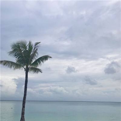 口袋妖怪移动版百度客户端下载